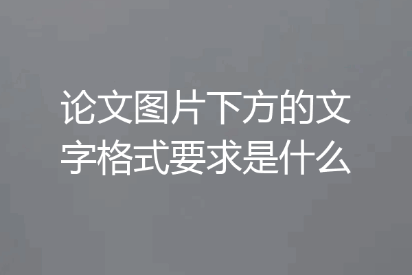 论文图片下方的文字格式要求是什么