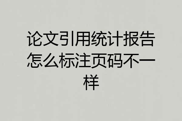 论文引用统计报告怎么标注页码不一样