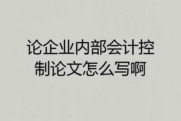 论企业内部会计控制论文怎么写啊