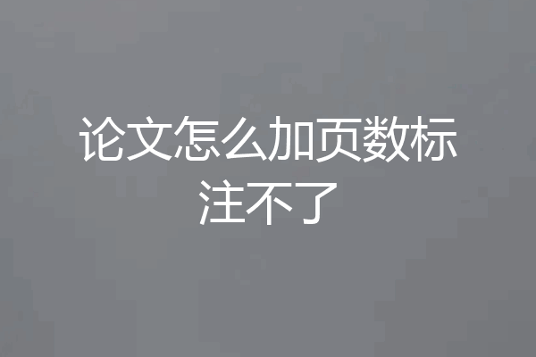 论文怎么加页数标注不了