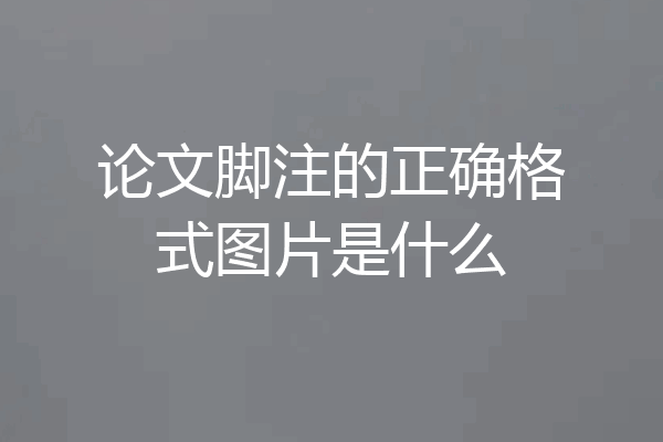 论文脚注的正确格式图片是什么