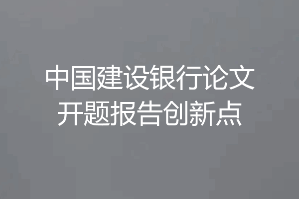 中国建设银行论文开题报告创新点