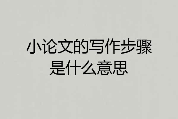 小论文的写作步骤是什么意思