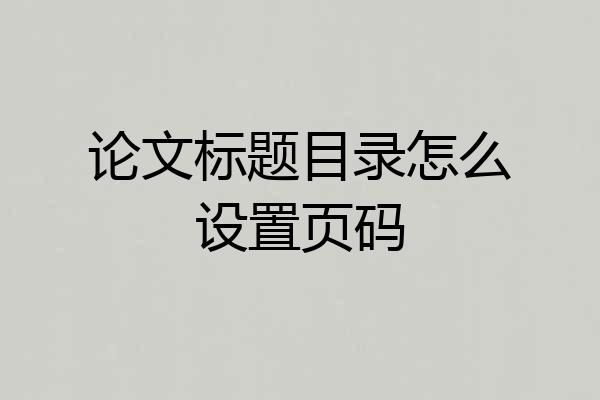 论文标题目录怎么设置页码