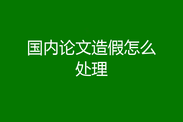 国内论文造假怎么处理