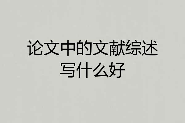 论文中的文献综述写什么好