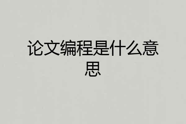 论文编程是什么意思