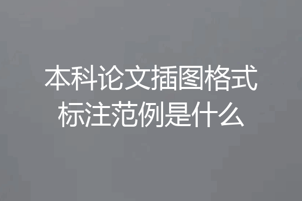 本科论文插图格式标注范例是什么
