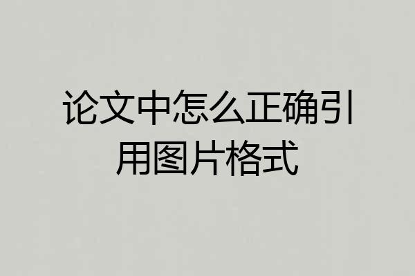 论文中怎么正确引用图片格式