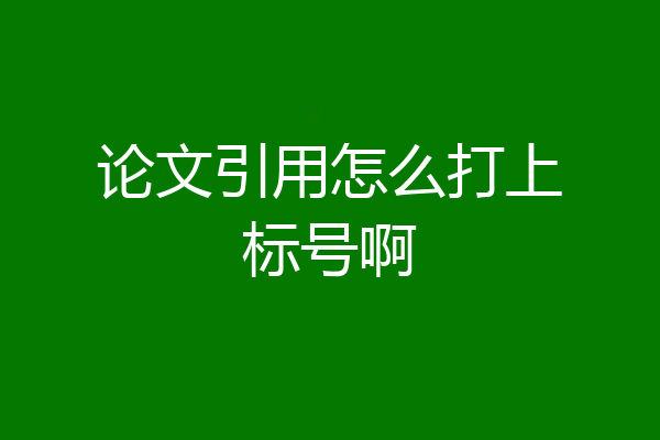 论文引用怎么打上标号啊