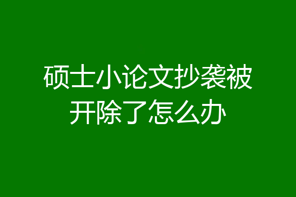 硕士小论文抄袭被开除了怎么办