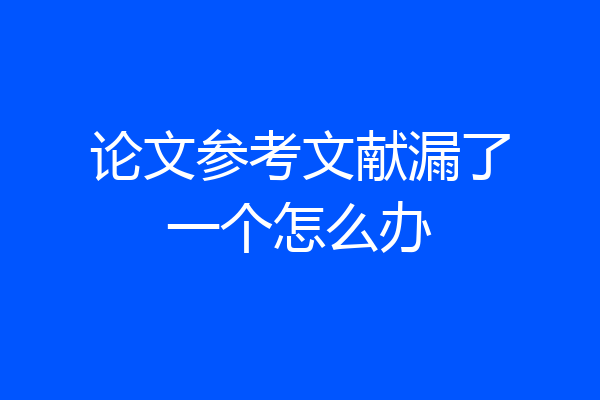 论文参考文献漏了一个怎么办