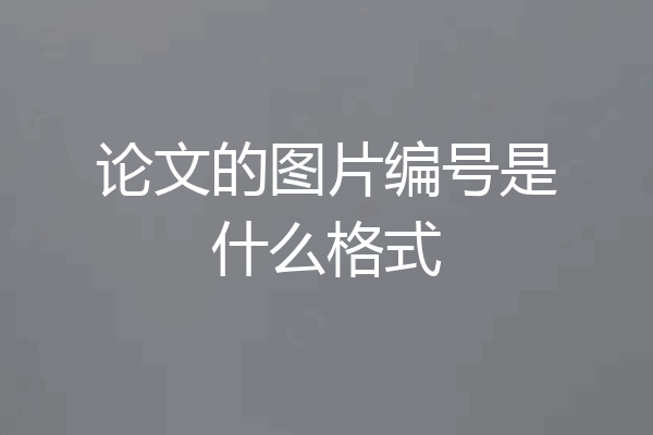 论文的图片编号是什么格式