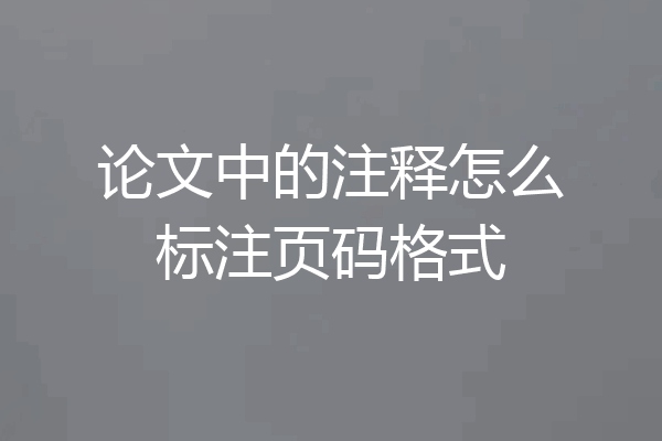 论文中的注释怎么标注页码格式