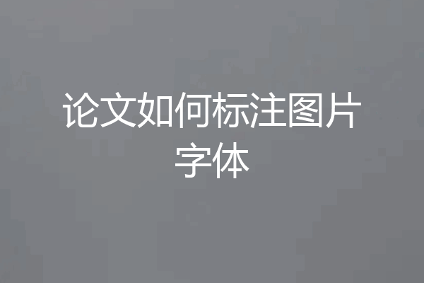 论文如何标注图片字体