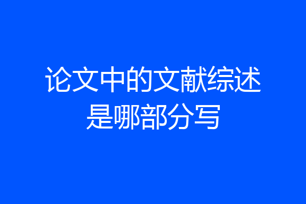 论文中的文献综述是哪部分写