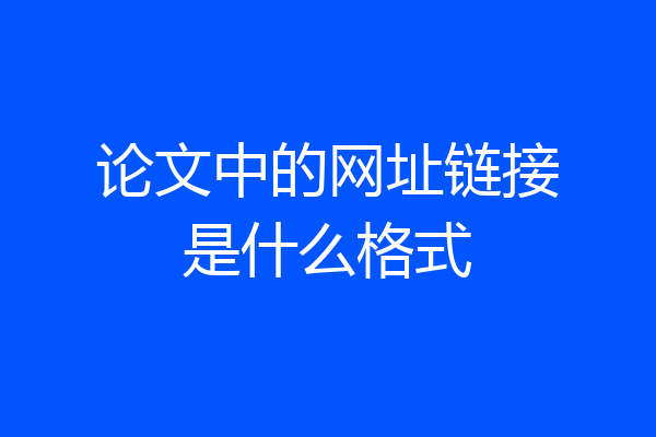 论文中的网址链接是什么格式