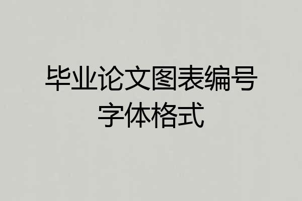 毕业论文图表编号字体格式