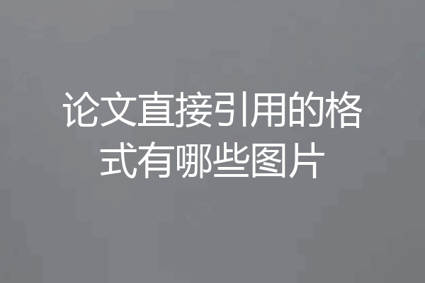 论文直接引用的格式有哪些图片