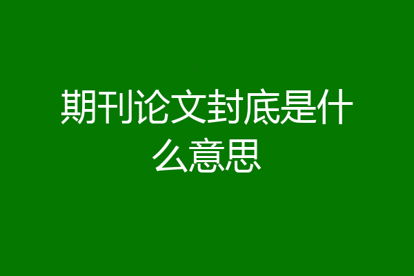 期刊论文封底是什么意思