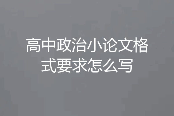 高中政治小论文格式要求怎么写