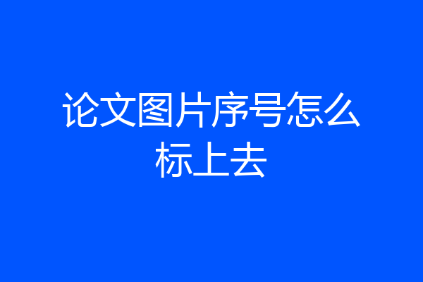 论文图片序号怎么标上去