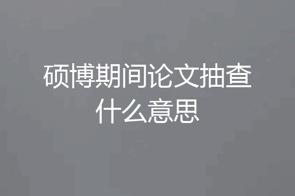 硕博期间论文抽查什么意思