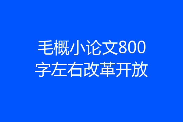 毛概小论文800字左右改革开放