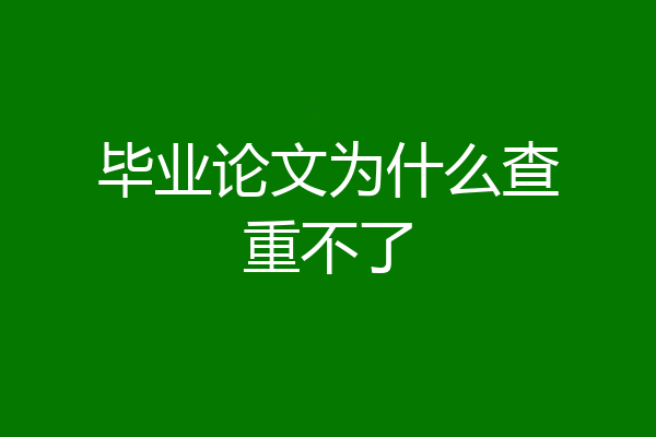 毕业论文为什么查重不了