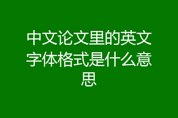 中文论文里的英文字体格式是什么意思