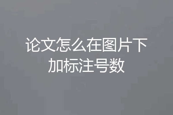 论文怎么在图片下加标注号数