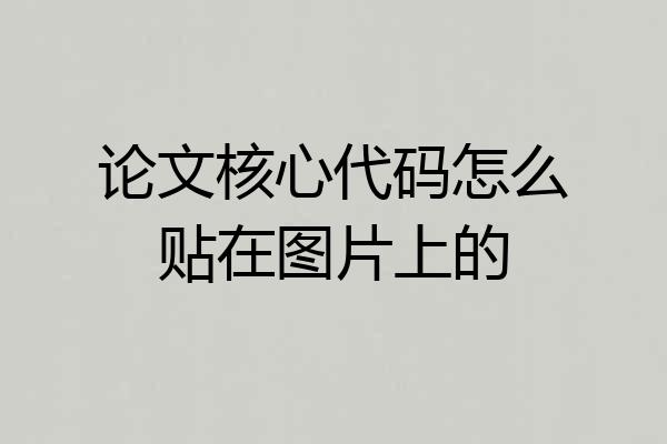 论文核心代码怎么贴在图片上的