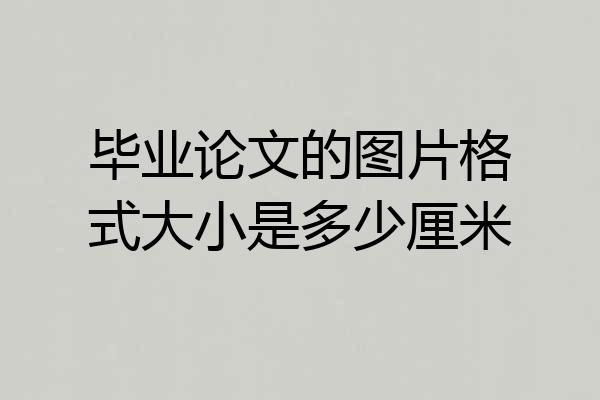 毕业论文的图片格式大小是多少厘米
