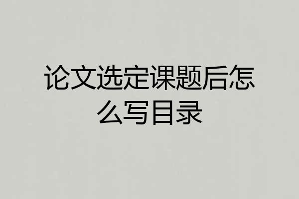 论文选定课题后怎么写目录