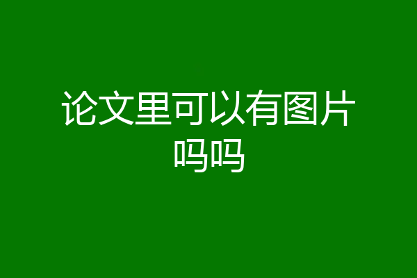 论文里可以有图片吗吗