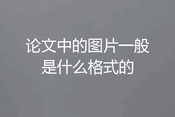 论文中的图片一般是什么格式的