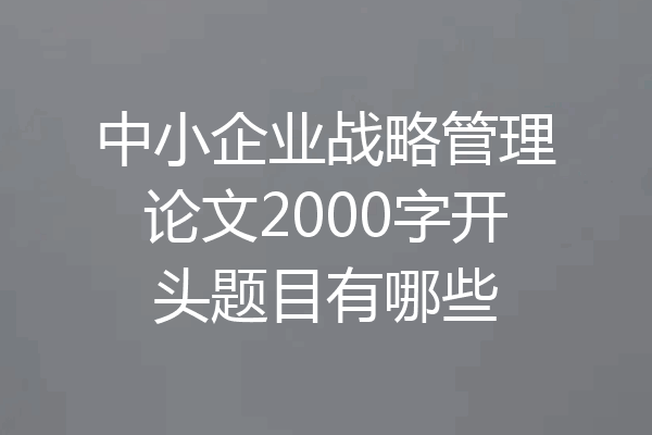 中小企业战略管理论文2000字开头题目有哪些