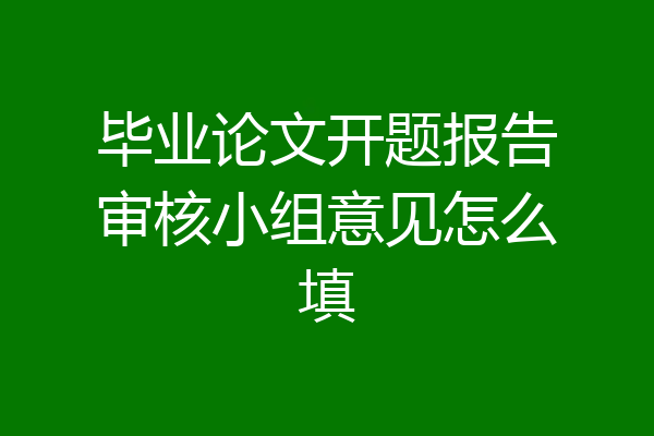 毕业论文开题报告审核小组意见怎么填