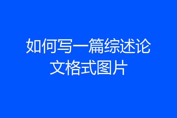 如何写一篇综述论文格式图片