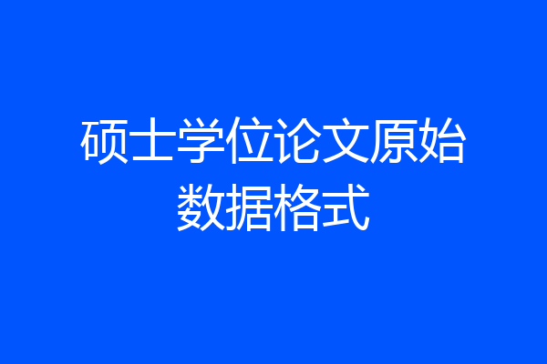 硕士学位论文原始数据格式