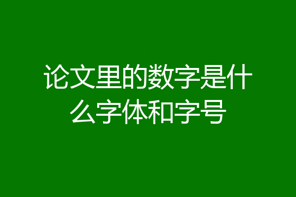论文里的数字是什么字体和字号