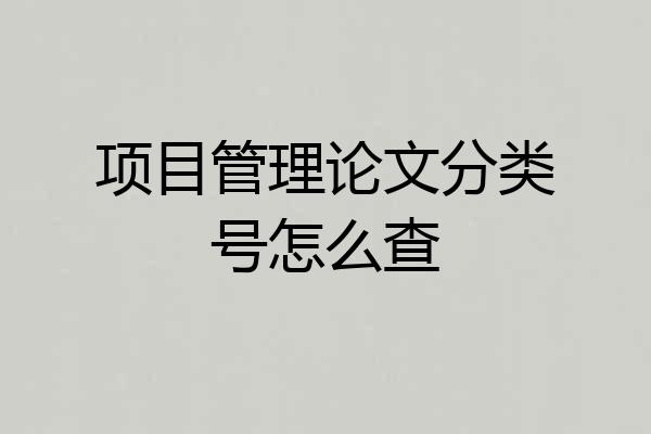 项目管理论文分类号怎么查