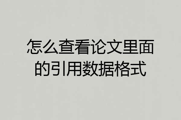 怎么查看论文里面的引用数据格式
