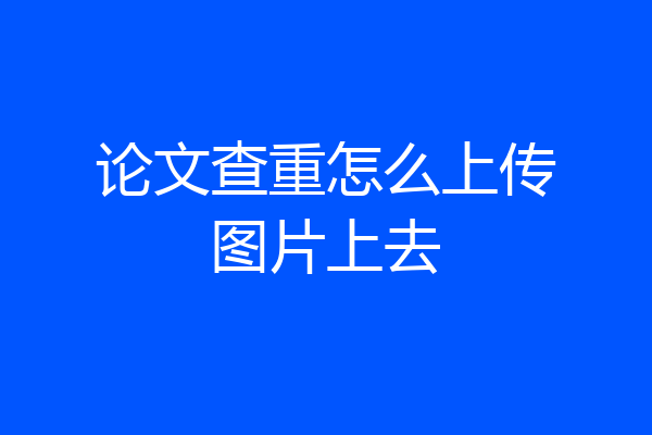 论文查重怎么上传图片上去