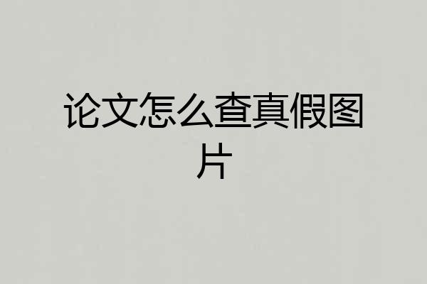 论文怎么查真假图片