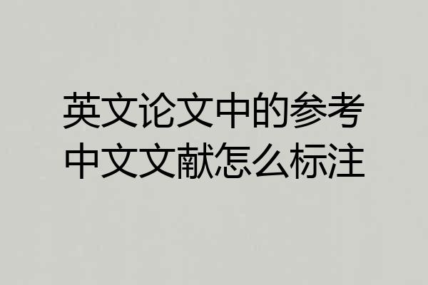英文论文中的参考中文文献怎么标注