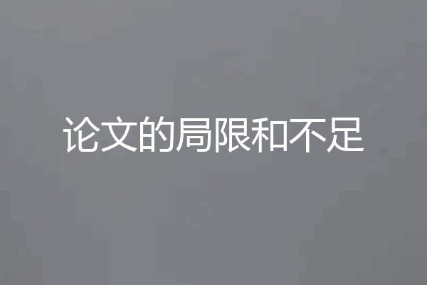 论文的局限和不足