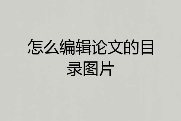 怎么编辑论文的目录图片