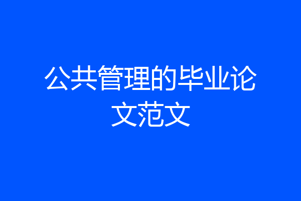 公共管理的毕业论文范文