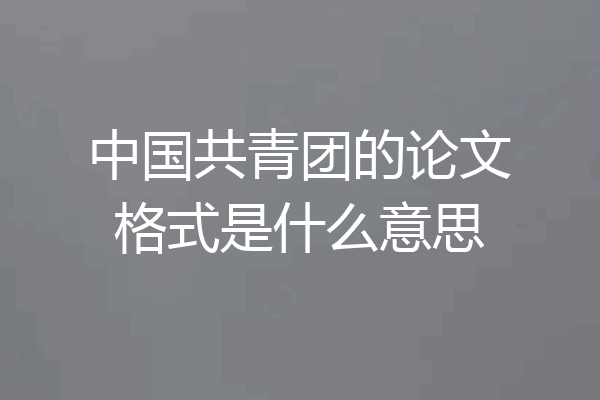 中国共青团的论文格式是什么意思